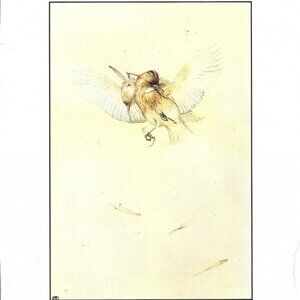 Edward Detmold: Fable's of Aesop - Lark  - 11.75" x 8.75" Book Page Print